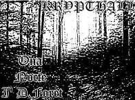 Krypthall : Ona Nocte in D'Foret